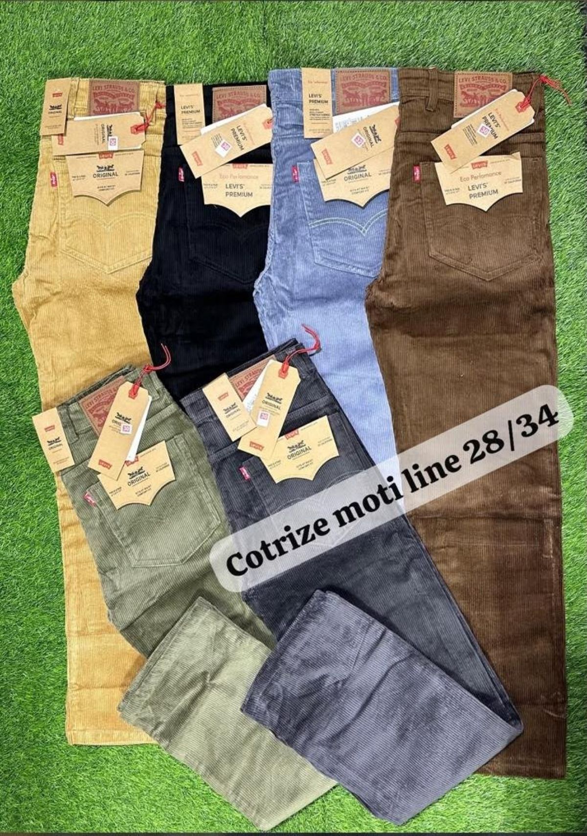 Men's Jeans- Cotrize Moti Line