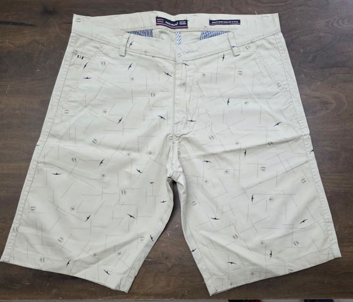 Pro-Noun Men's Shorts - 809 (30-36)